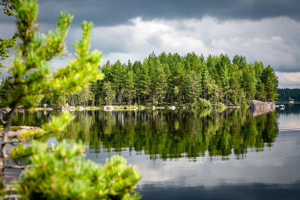 grüne Natur in Schweden